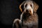 Golden Labradoodle dog on a black background. Neural network AI generated