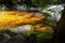 Golden lagoon on mountain river. Czech republic, river Mumlava.