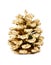 Golden large pine cone