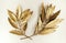 Golden laurel branch isolated on white background macro close up. Gold laurel leaves. Symbol of glory victory triumph peace