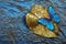 Golden leaf in drops of water and bright tropical morpho butterfly on a blue watercolor background