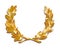 Golden leaves crown