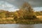 Golden leaves on a tree by the bank of a pond, with lily pads