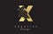Golden Letter X logo design with broken stone, glass detail. Vector Illustration with geometrical effect