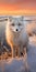 Golden Light: A Captivating Portrait Of A White-furred Fox