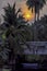 The golden light of the sun and clouds in the sky with the shadow of the coconut trees and a boat moored in a canal under a bridge