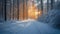 The golden light of sunset filters through a snowy forest, casting a warm glow on the tranquil path.