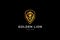 Golden lion logo for corporate company, lion head on black background