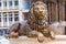 Golden lion sculpture surrounded by falling fountain water streams as a part of the famous monument dedicated to ancient warrior