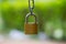 Golden Locked Padlock on green blurry background