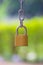 Golden Locked Padlock on green blurry background