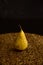 Golden, lonely pear, ripe, very juicy on a black background.
