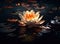 A golden lotus gracefully poised against a backdrop of darkness, its luminous petals contrasting against the obsidian