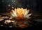 A golden lotus gracefully poised against a backdrop of darkness, its luminous petals contrasting against the obsidian