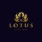 Golden Lotus Logo Flowers Vector illustrations