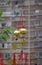 Golden lucky lanterns at temple in Hong Kong