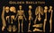 Golden luxury human bones skeleton silhouette collection set.
