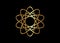 Golden luxury logo template in Celtic knot style on black background. Tribal symbol in circular mandala form. Gold ornament