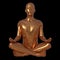 Golden man meditate yoga lotus pose stylized character portrait