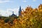 Golden maple leaves on the background the tower of the Alexander Lutheran Church. Estonia