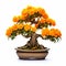 Golden Marigold Bonsai Tree: Exquisite Ultra Detailed Craftsmanship