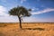 Golden meadows in the savanna fields in Kenya, Africa.