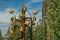 Golden metal birds monument with leafy tree and steeple in sunny day at Weesp.