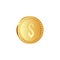 Golden metallic dollar coin.