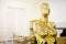 Golden Metallic Mannequin, Shinny Reflection Model for sewing. Business workplace woman sew studio