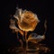 Golden metallic roses, a bouquet of roses covered with gold close up on a black background, for printing, postcards,