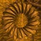 golden mobius ring in closeup detail