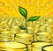 Golden money stacks with green sprout of wealth tree, gold coins, retro illustration of the shining wealth, pop art treasur