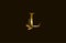 Golden Monogram Flourishes Letter L Logo Manual Elegant