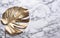 Golden monstera leaf on luxury marble background. Clean minimal flat lay design. Tropical gold foliage for trendy layout. Luxury