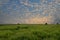 Golden morning sky over green field