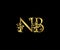 Golden NB, N and B Luxury Logo Icon, Vintage Gold  Initials Mark Design. Elegant luxury gold color on black background