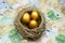 Golden nest egg