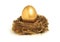 Golden nest egg representing retirement savings