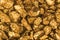 Golden nuggets closeup. Background texture