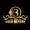 Golden Number 3 Logo Vector Sign