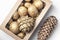 Golden nuts and pine cones in craft box on white