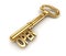 Golden old key with open text