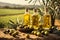 Golden Olive Oil Bottles in Rural Olive Field: Morning Sunshine Elegance.