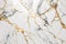 Golden Opulence: A Luxurious White and Gold Marble Texture