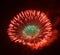 Golden orange amazing fireworks isolated in dark background close up with the place for text, Fireworks festival in ZURRIEQ, Malta