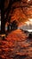 Golden, orange, and red leaves adorn the path in a picturesque park