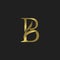 Golden Outline Initial B Letter Luxury Logo vector design