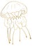 Golden outlines jellyfish, isolated element for nautical sea wedding Illustration