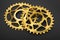 Golden oval bicycle chainring