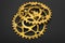 Golden oval bicycle chainring